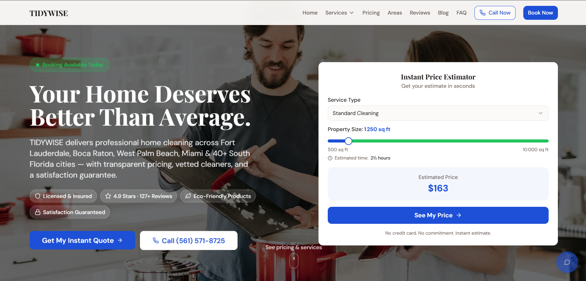 Aperçu du site TIDYWISE